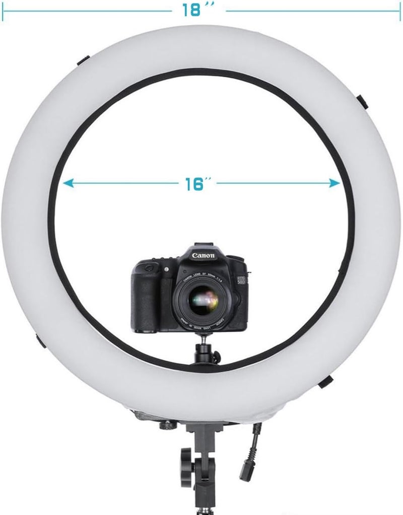 EDNEY 2 Pack Ring Ligter Diffuser Soft Elastic Cover White Light Diffuser Cloth for Photography Studio Video (White (Fits 16"" to 18"" Ring)) - Image 2